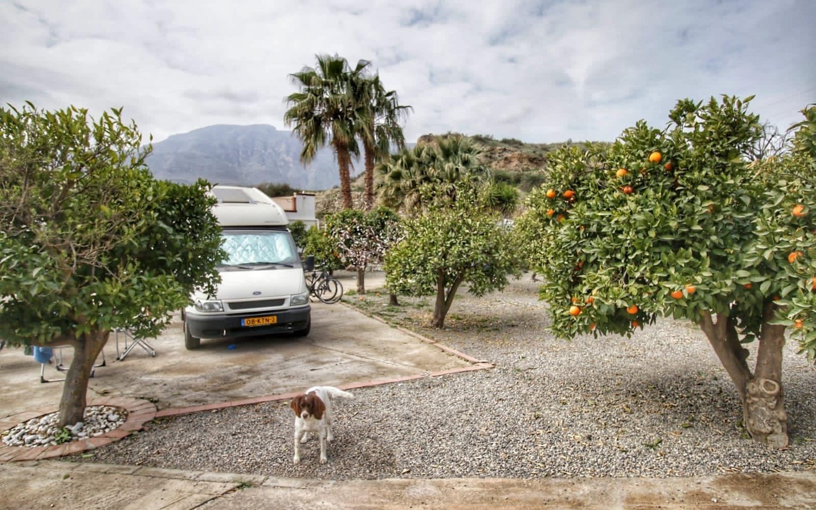 Under coronakrisen med autocamperen på en appelsinfarm i Spanien