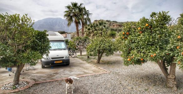 Pendant la crise corona avec le camping-car dans une ferme d'orangers en Espagne