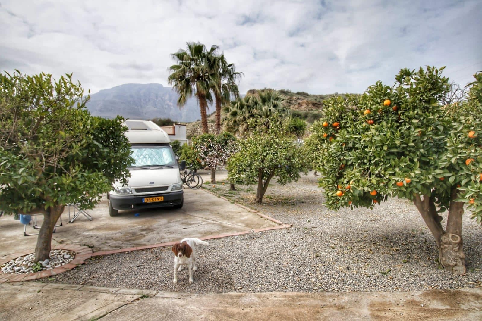 Durante la crisi della corona con il camper in una fattoria di arance in Spagna