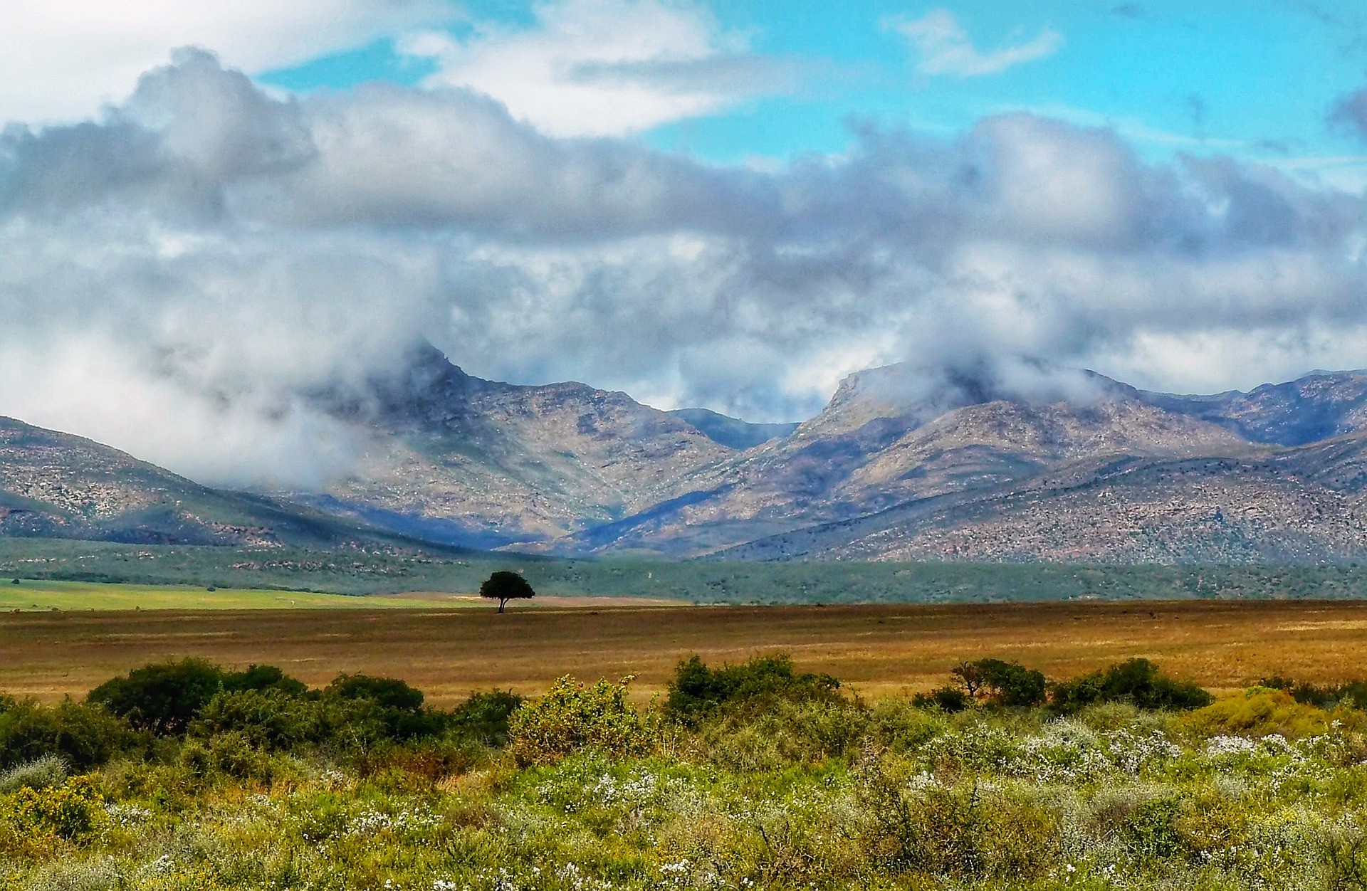 Karoo National Park, Zuid-Afrika