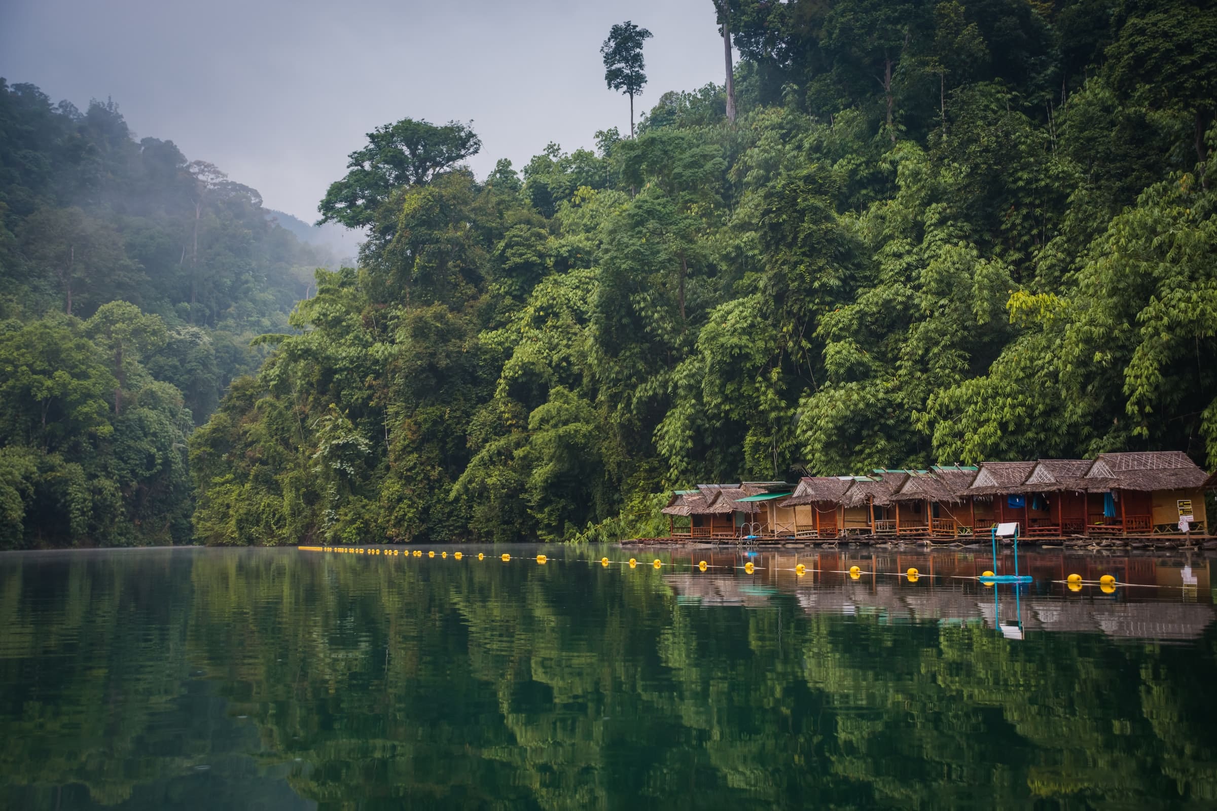 Khao Sok Nationaal Park