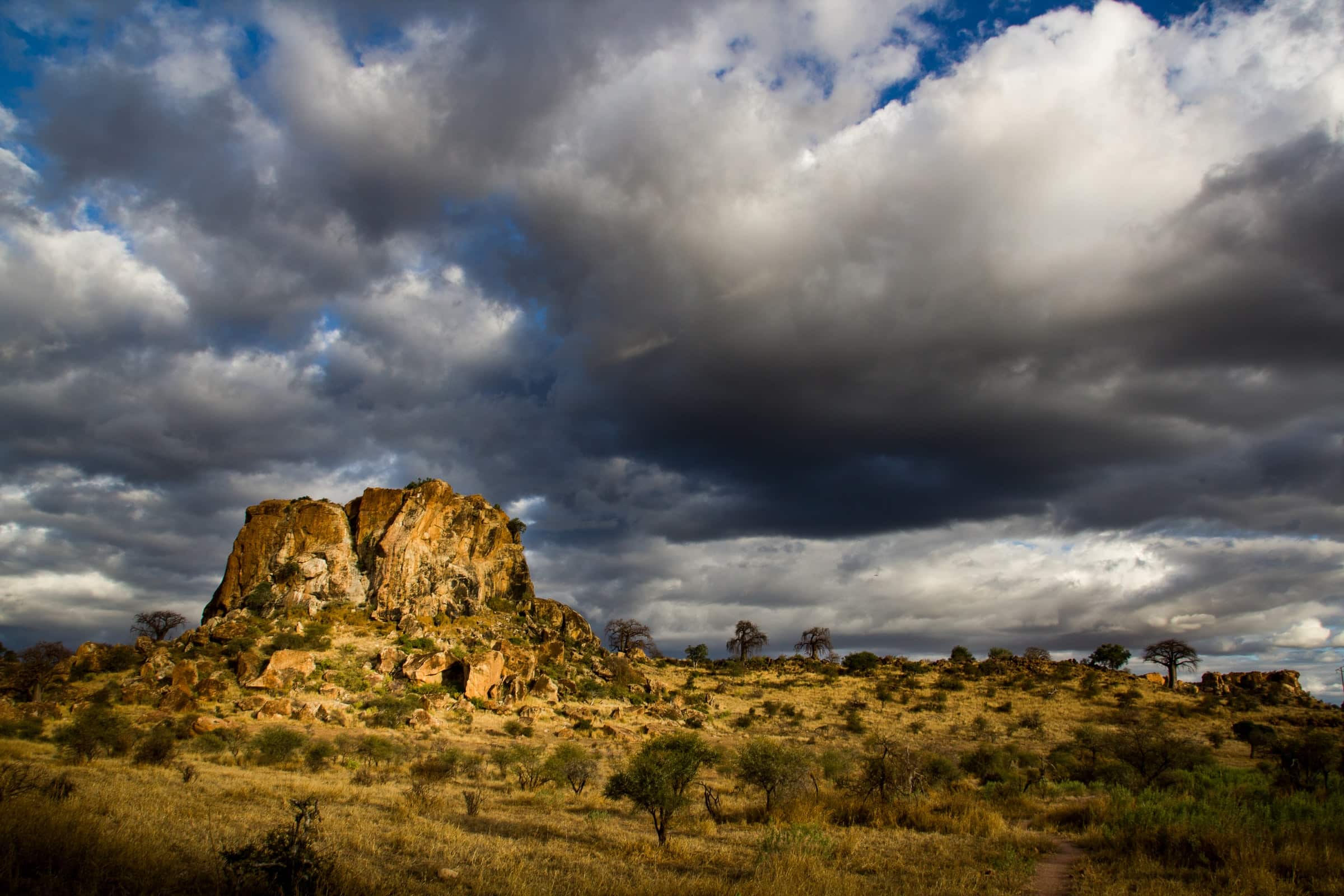 Mapungubwe National Park, Zuid-Afrika