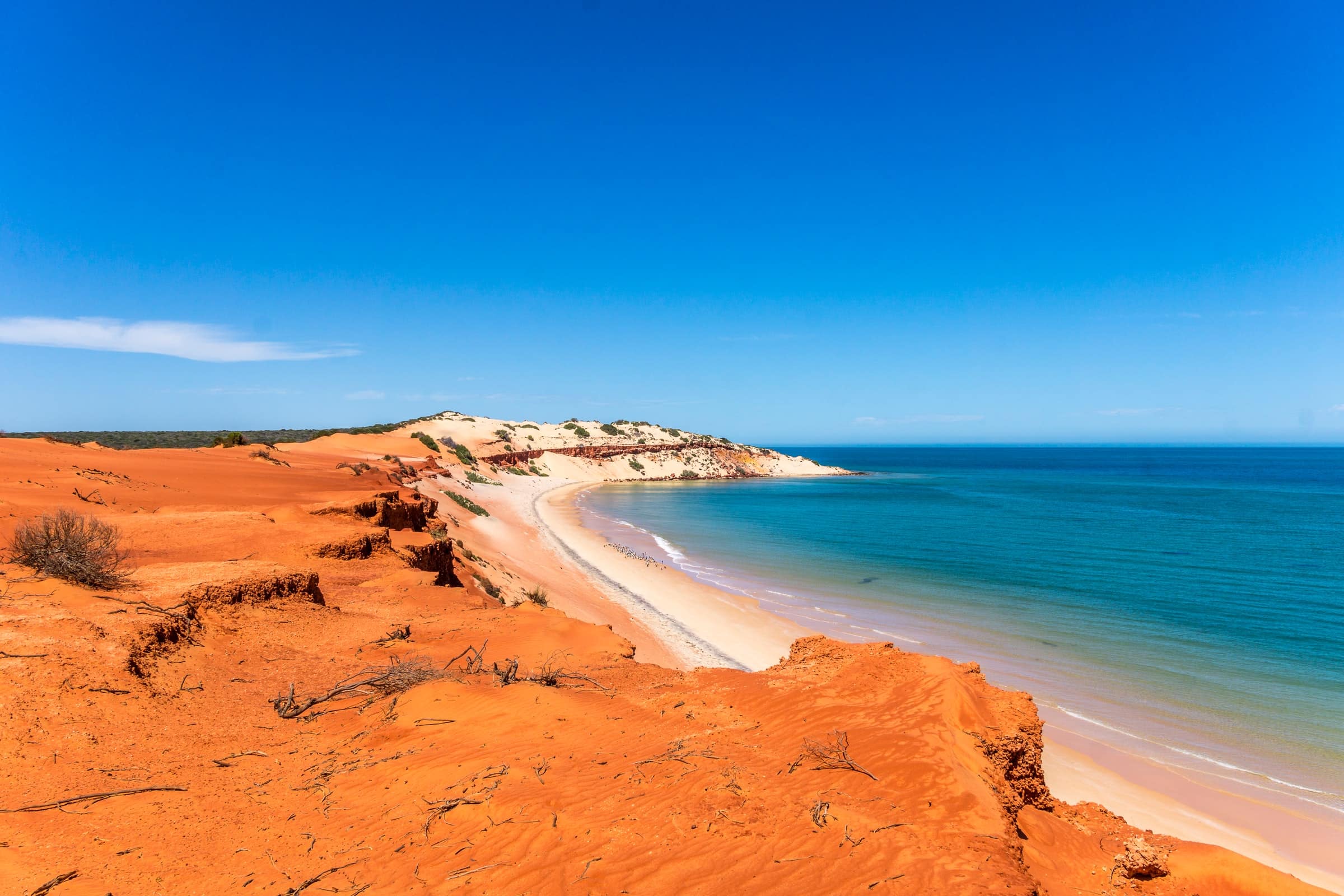 Hoe lang duurt een rondje Highway 1 in Australië?