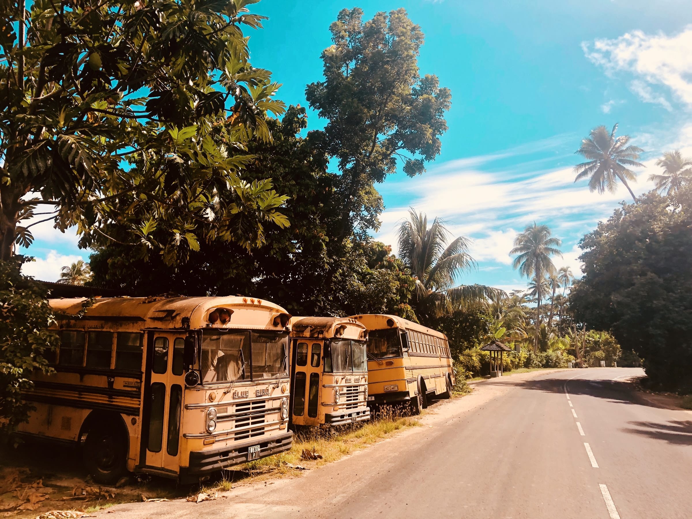 Oude schoolbussen op Tahiti, nabij de stad Papeete