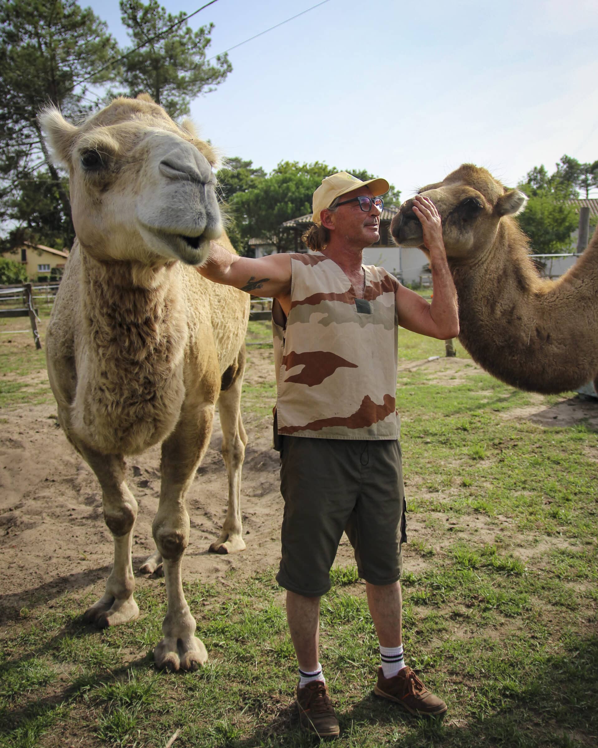 De eigenaar met twee kamelen