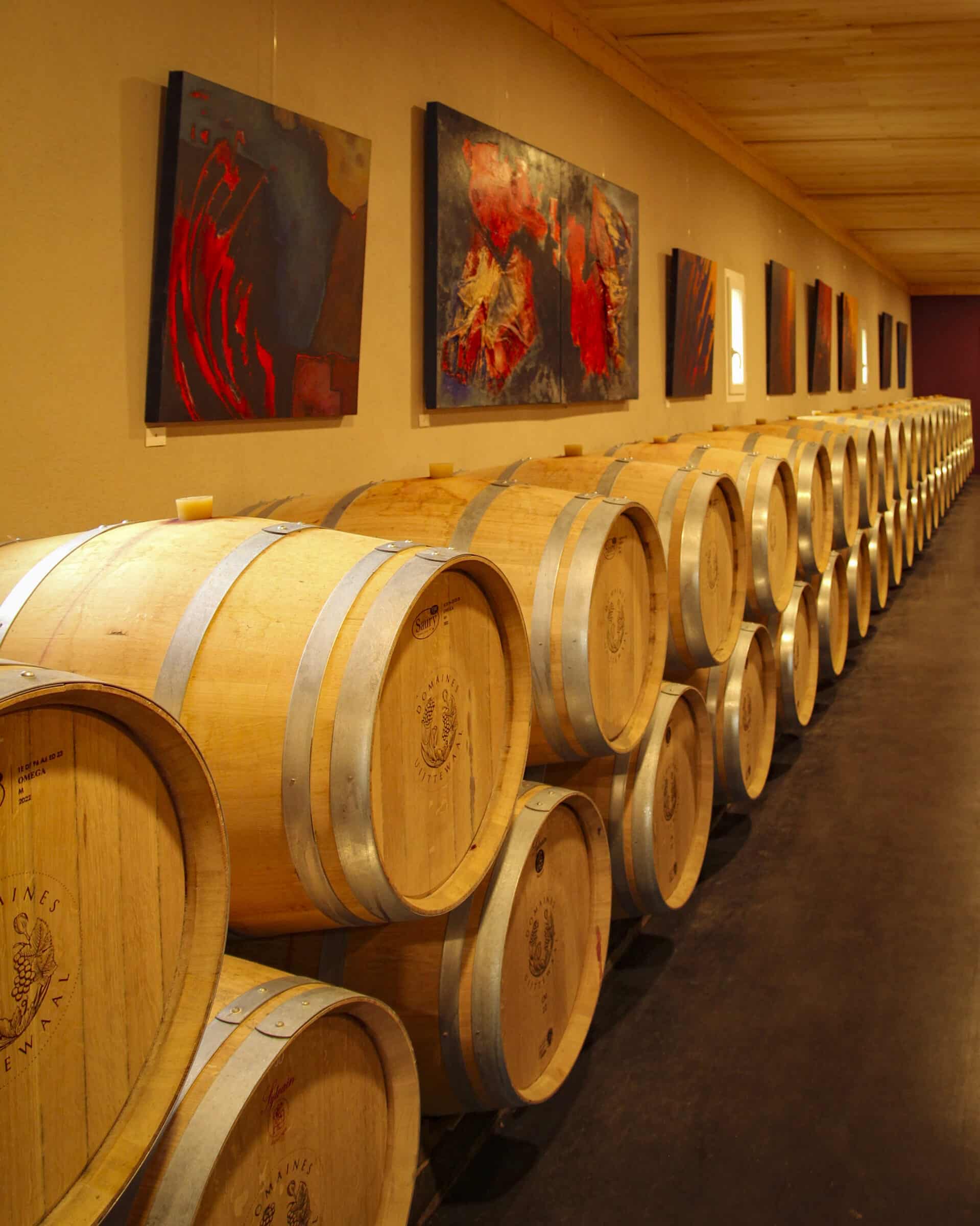Wijnvaten bij Château Saint-Hilaire