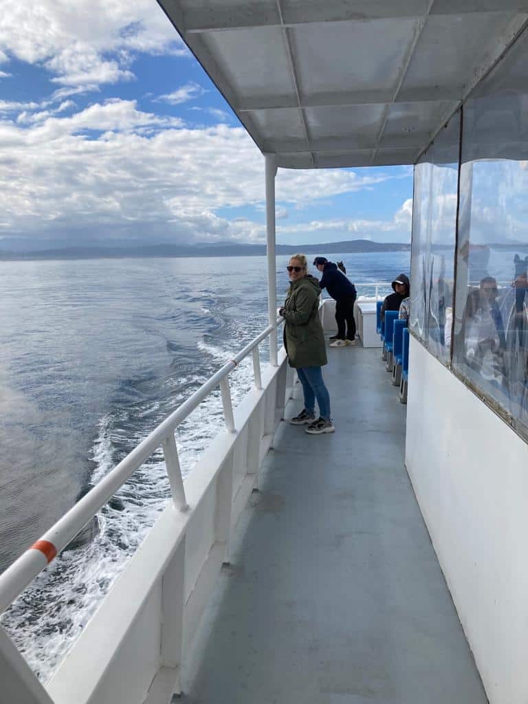 Walvissen spotten tijdens de tocht van Princess Monterey