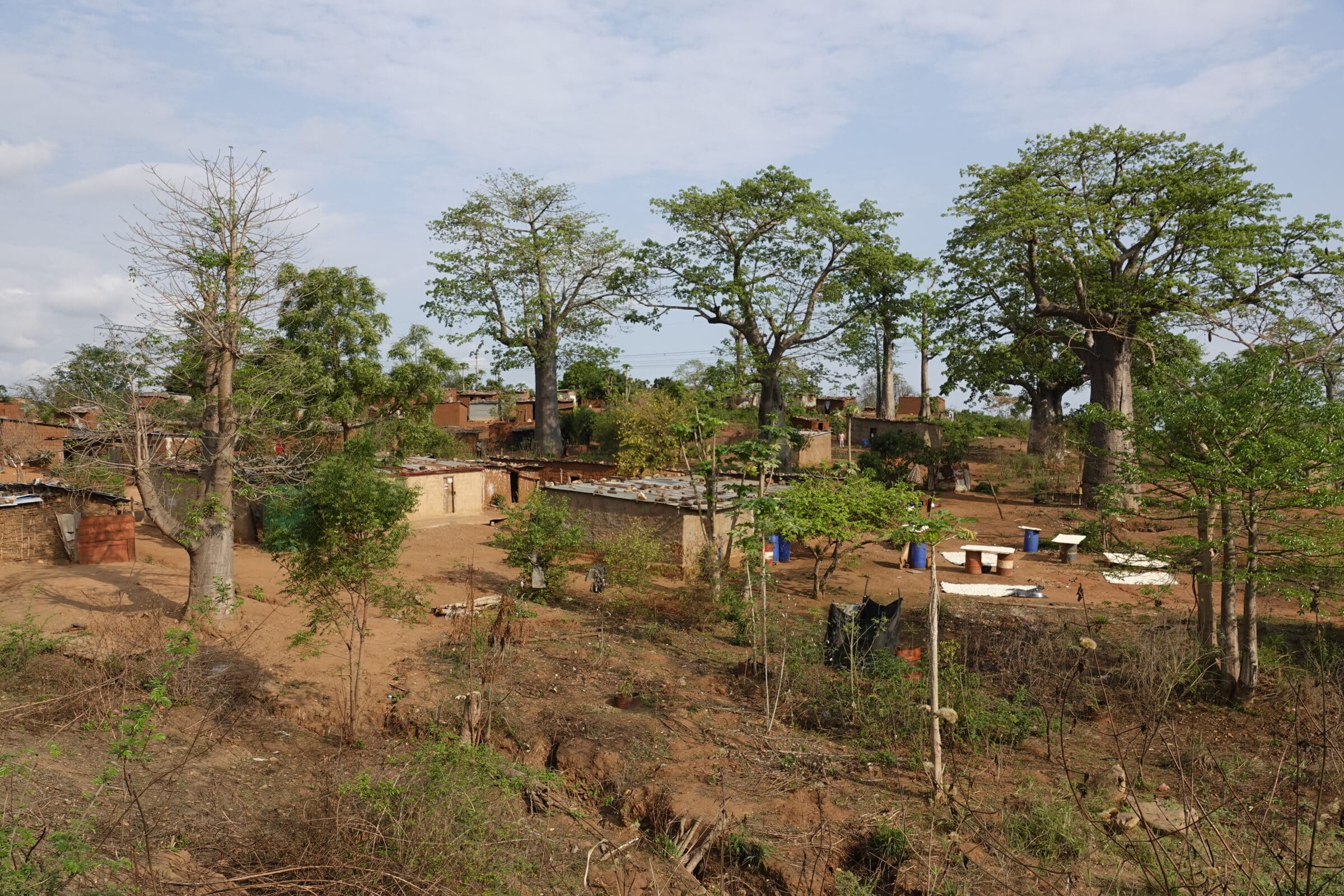 Villaggio con baobab | Overlanding in Angola