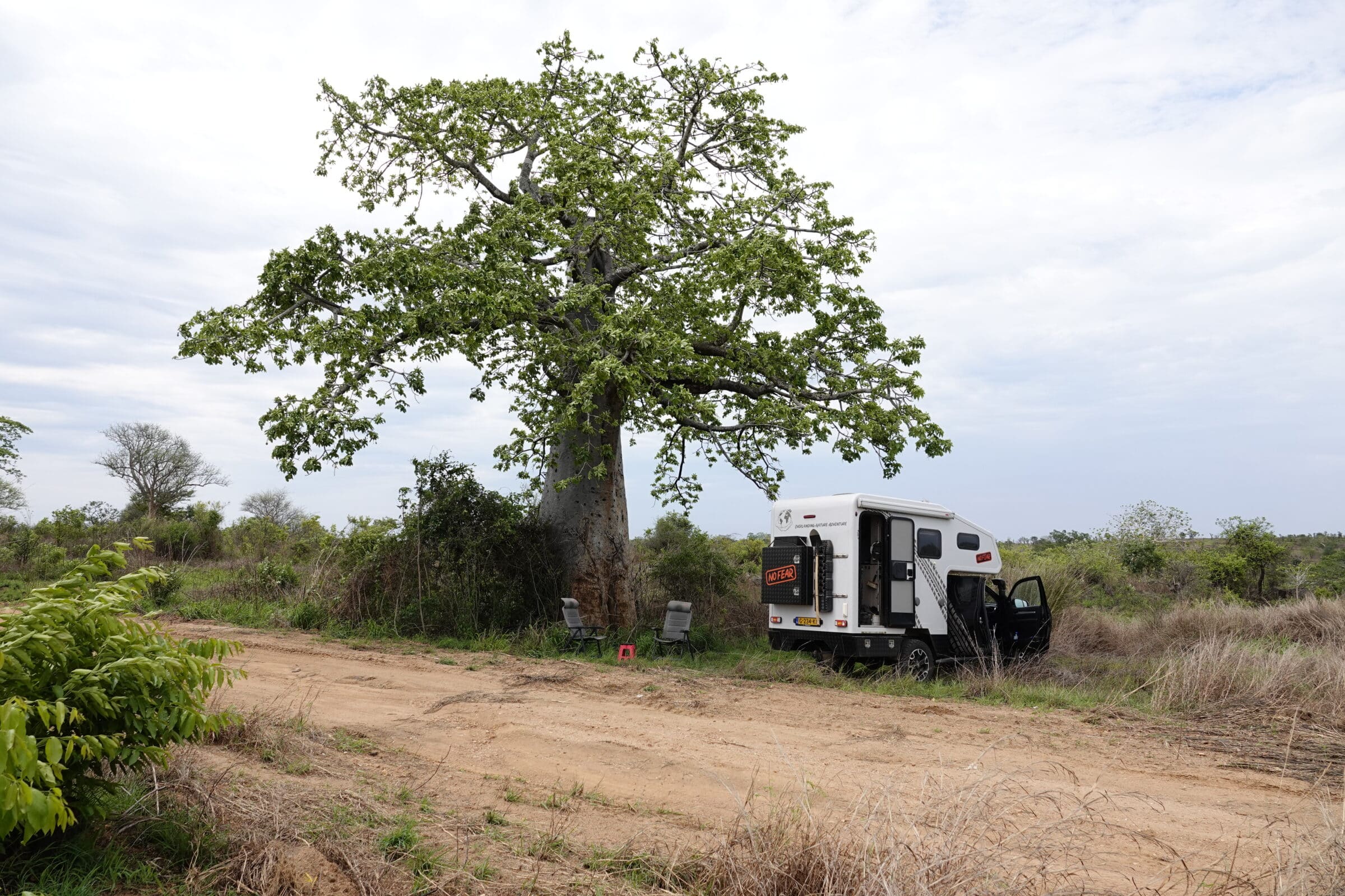 Kaffe under baobabträdet | Överlandning i Angola