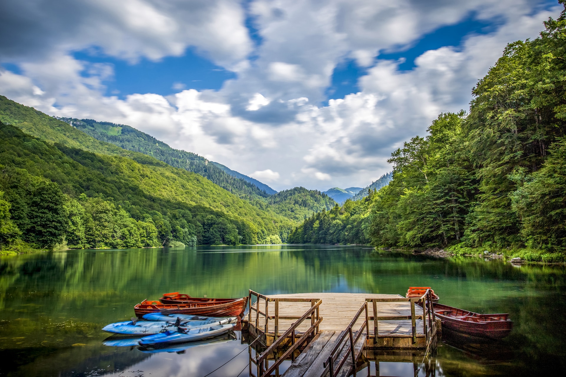 Biogradska Gora Nationaal Park | Montenegro