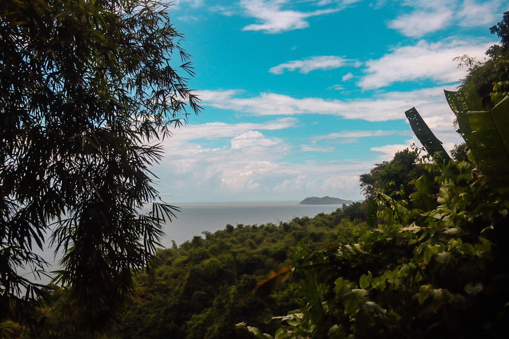 Prachtige uitzichten over de zee tussen het tropische regenwoud