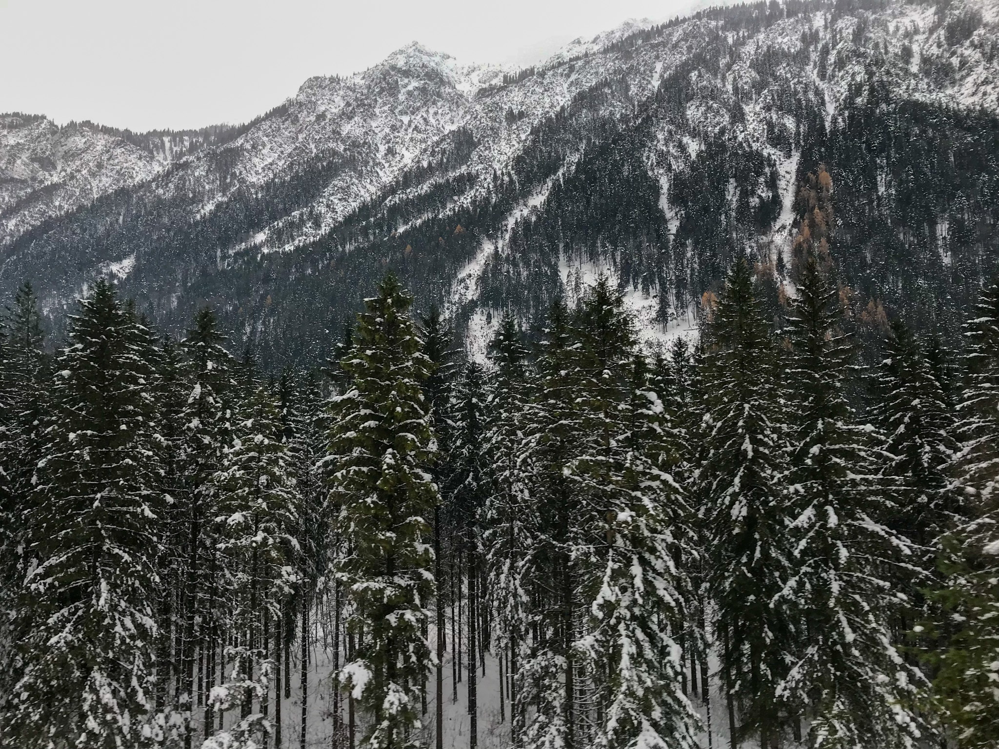 Wegdromen bij de besneeuwde bergen van Oostenrijk