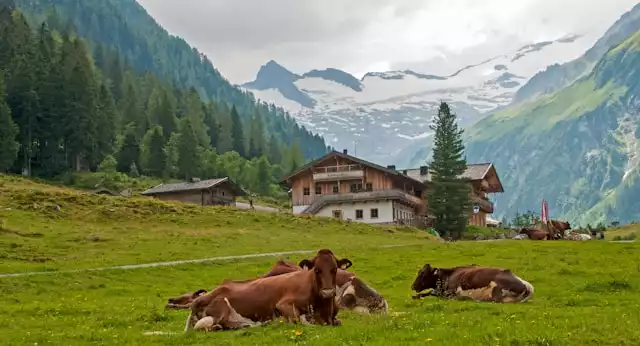 Vacaciones baratas Tirol