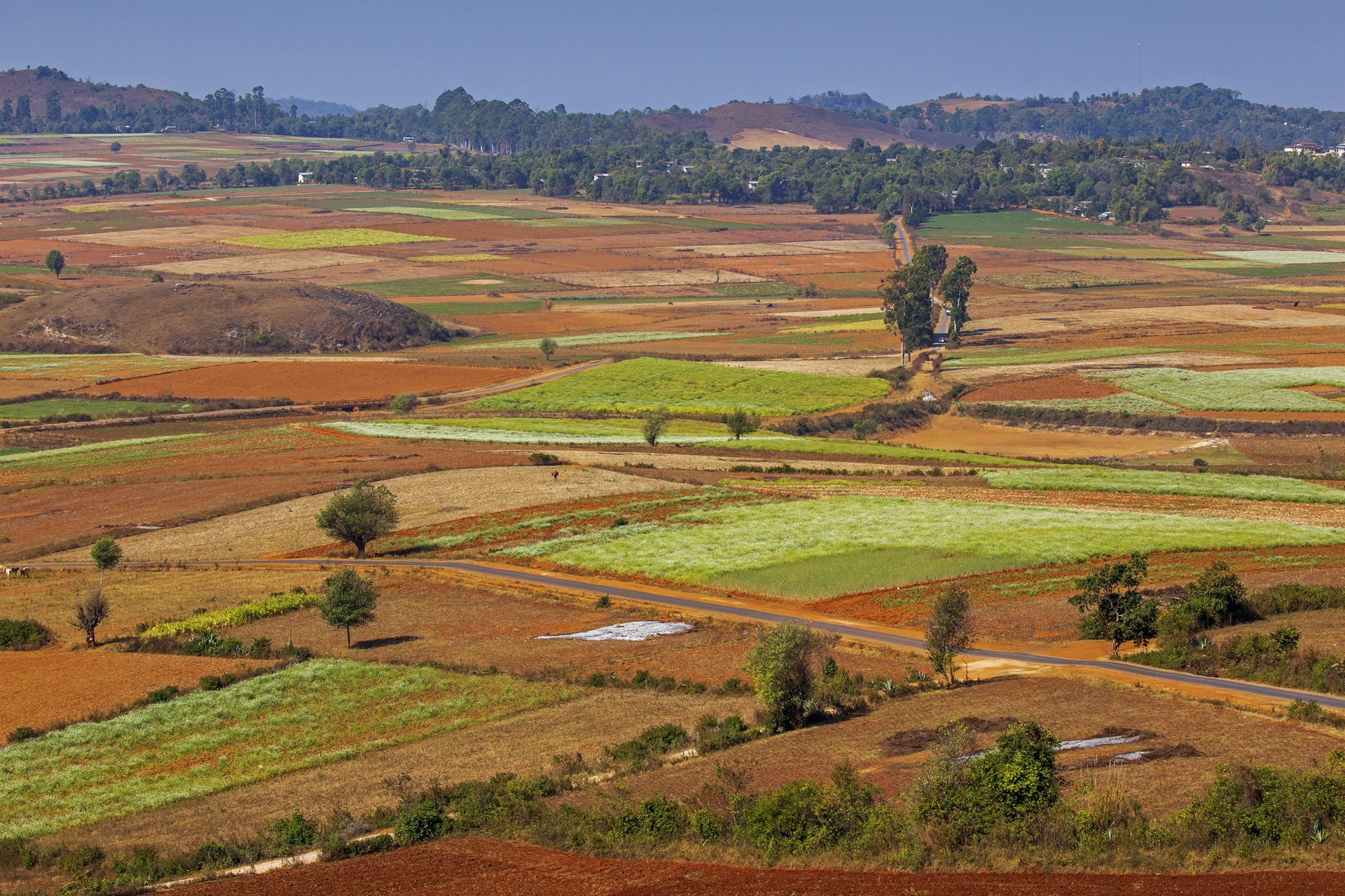 landbouw in Myanmar