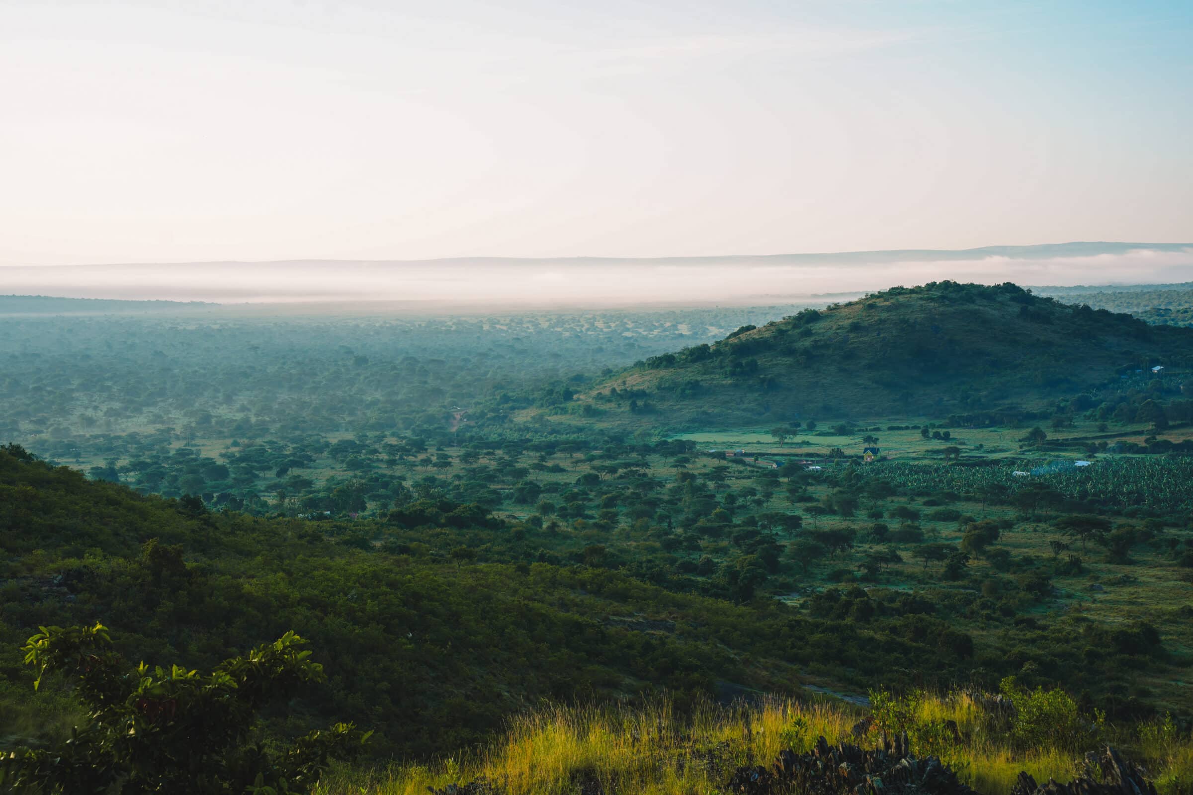 Reisinformatie Oeganda | Uitzicht op Lake Mburo National Park