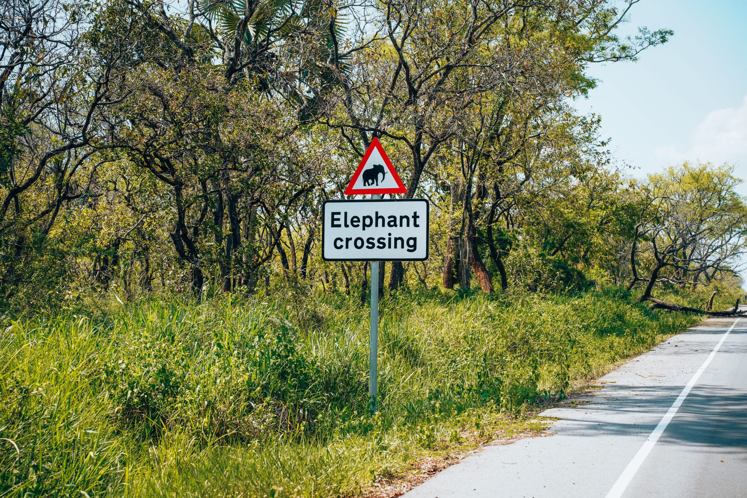 Reisinformatie Oeganda | Het leukste verkeersbord wat je kunt vinden