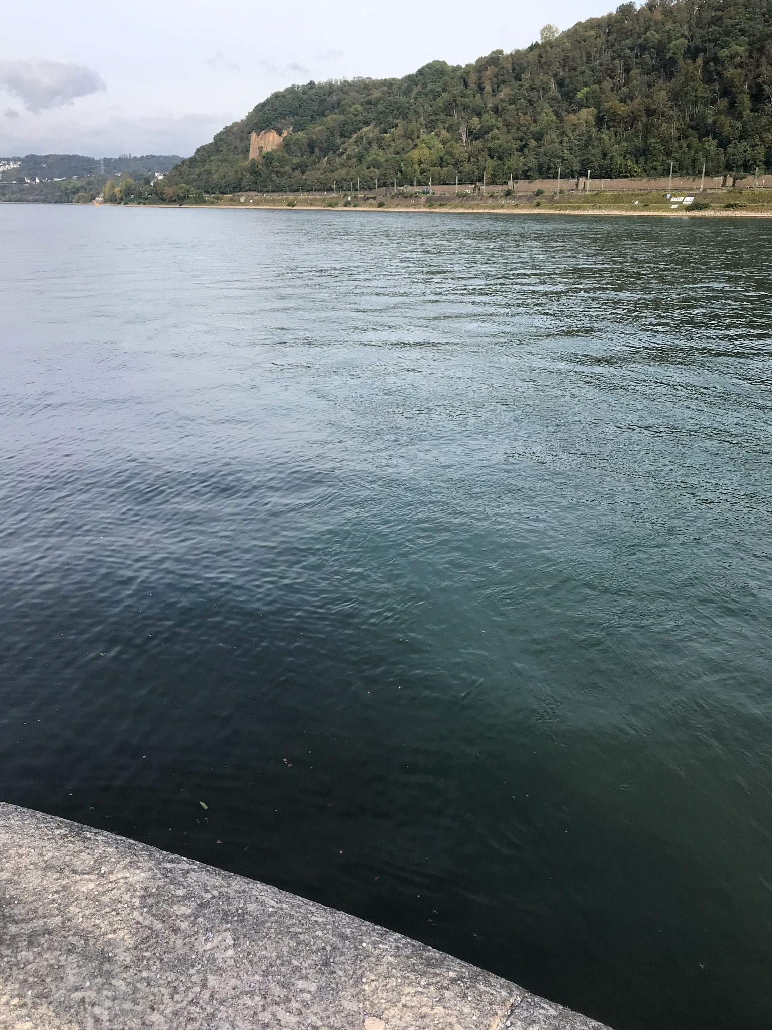 De Moezel en de Rijn die samenvloeien bij Deutsches Eck