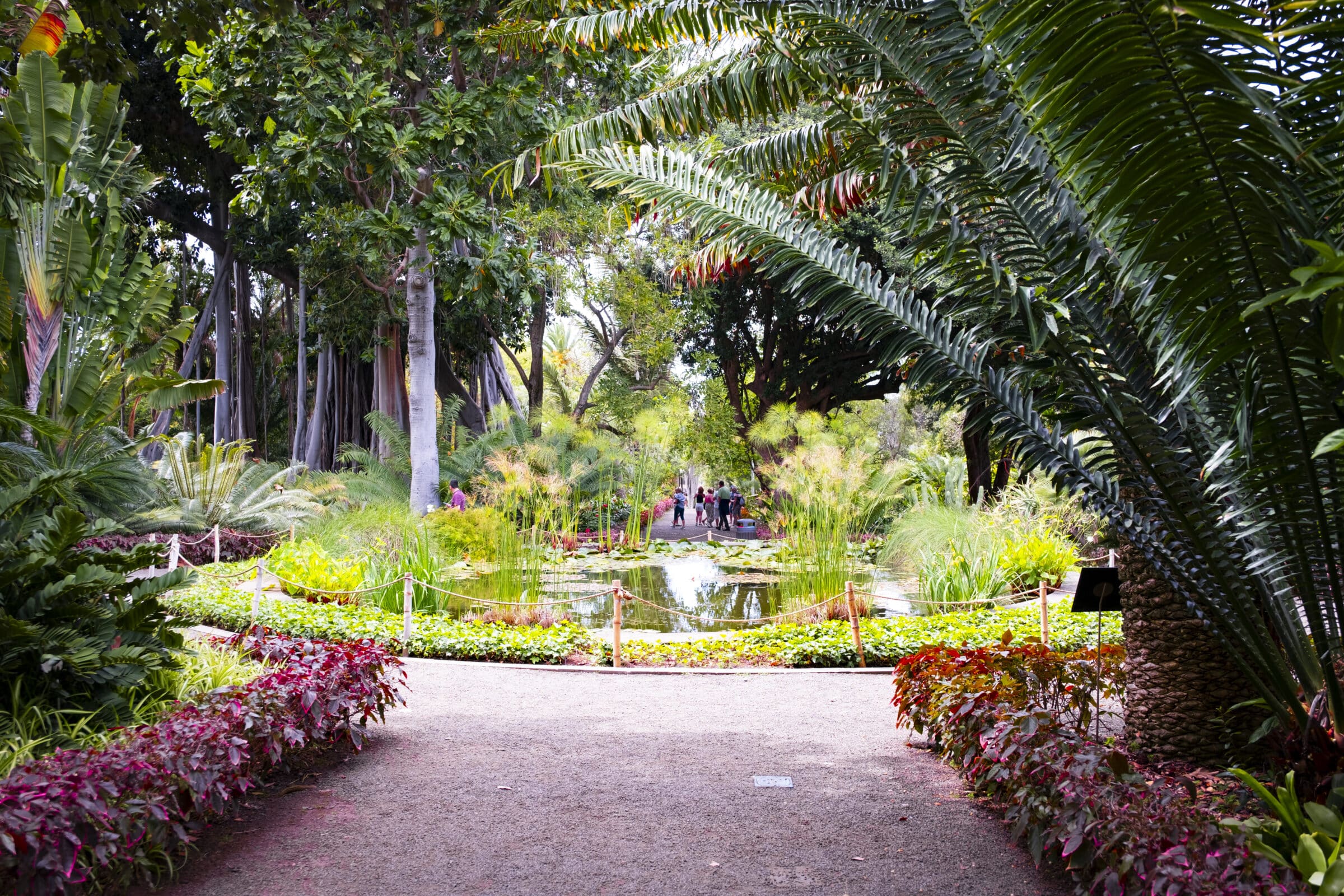 The botanical garden
