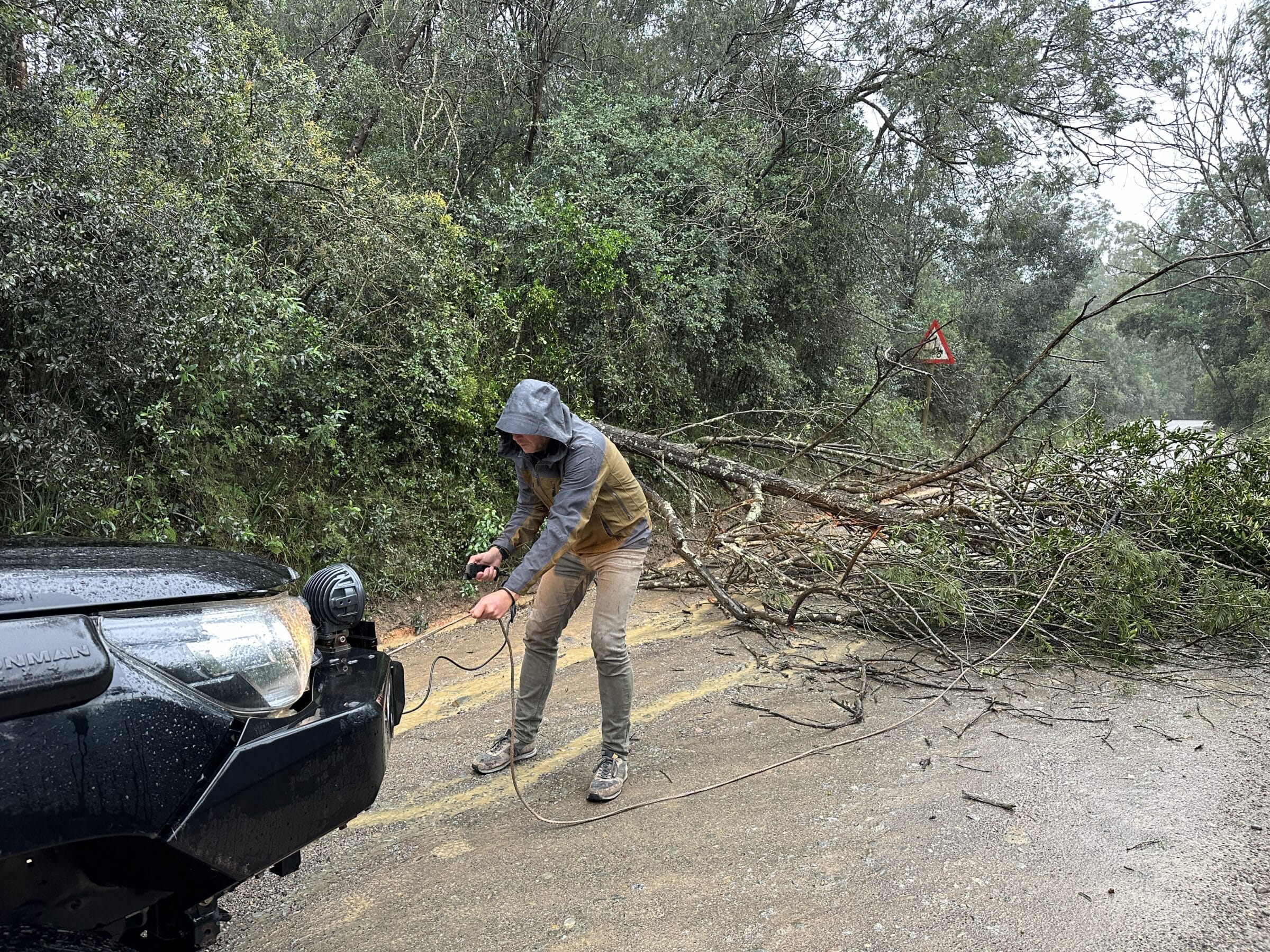 Boom van de weg aftrekken | Overlanden in Zuid-Afrika