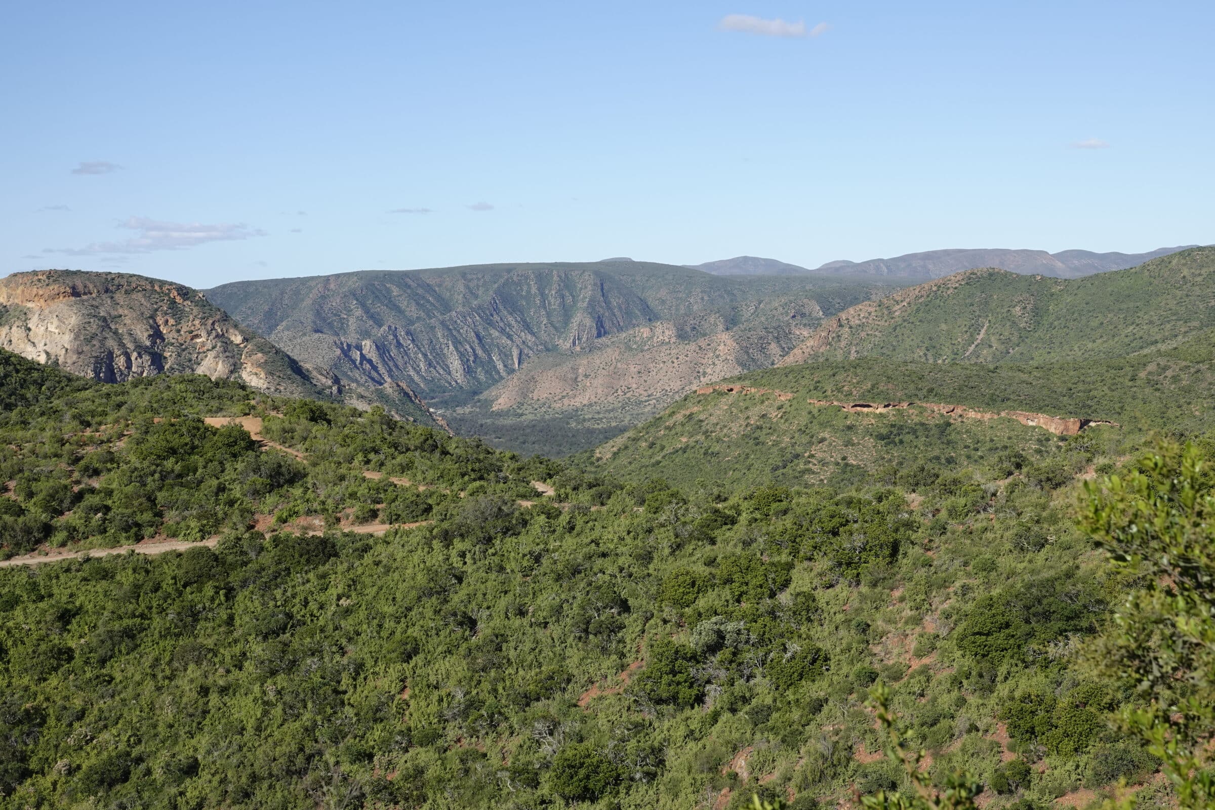 Landschap Baviaanskloof