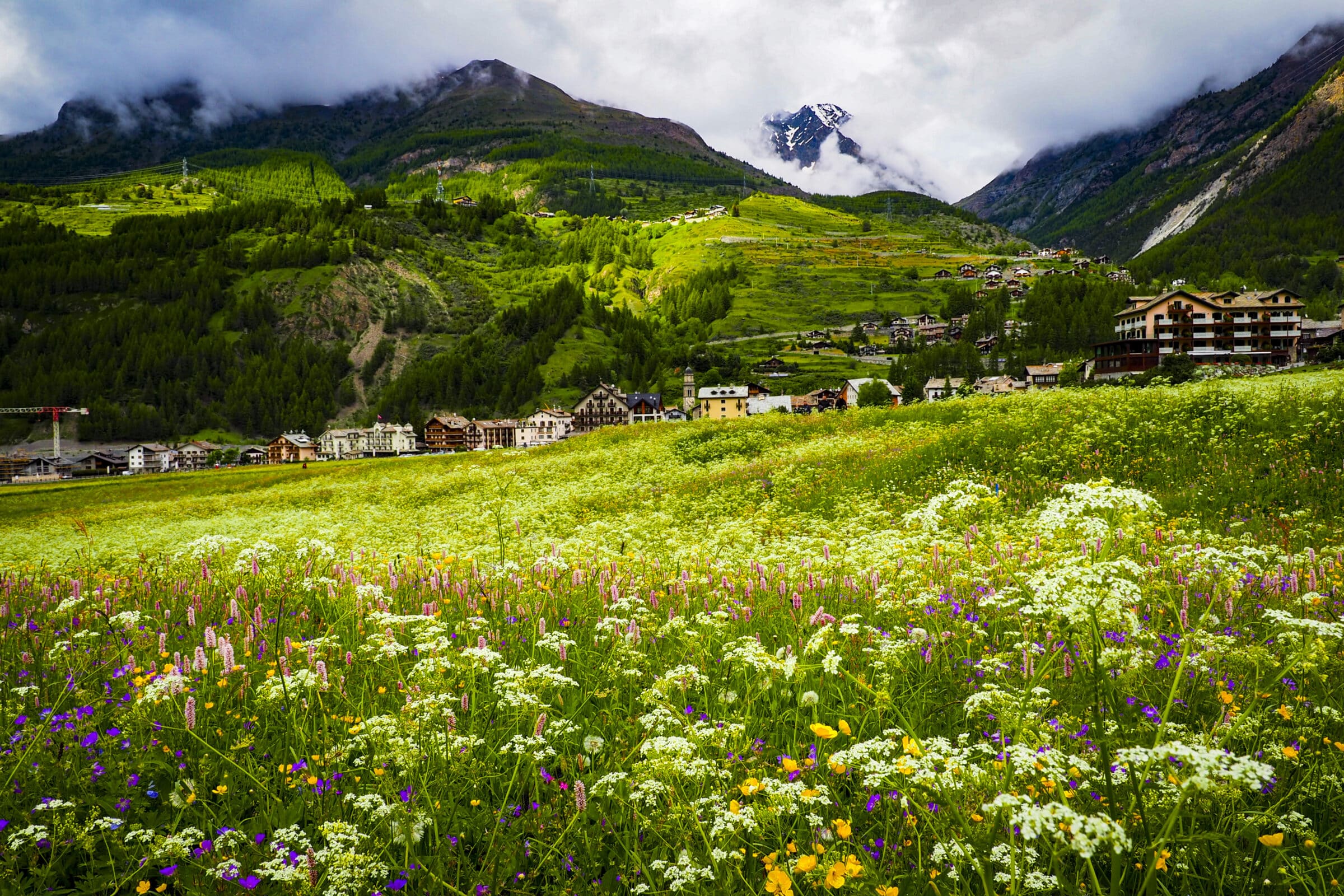 Cogne | Valle d'Aosta