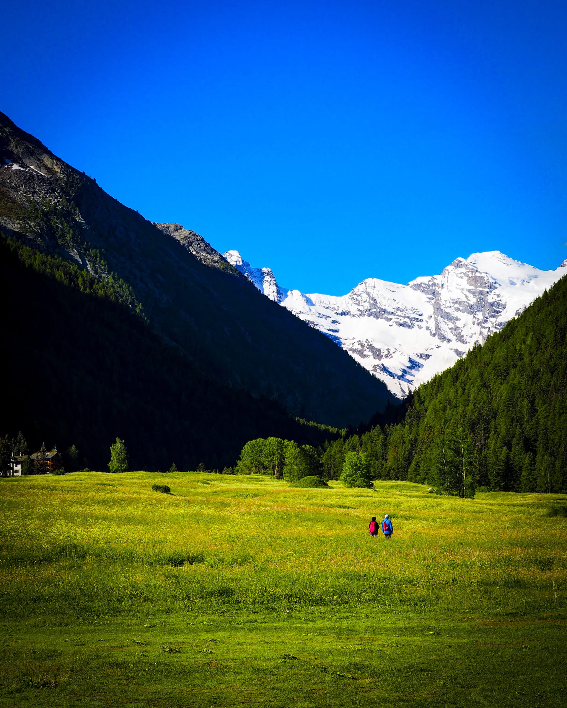 Wandelen in Cogne