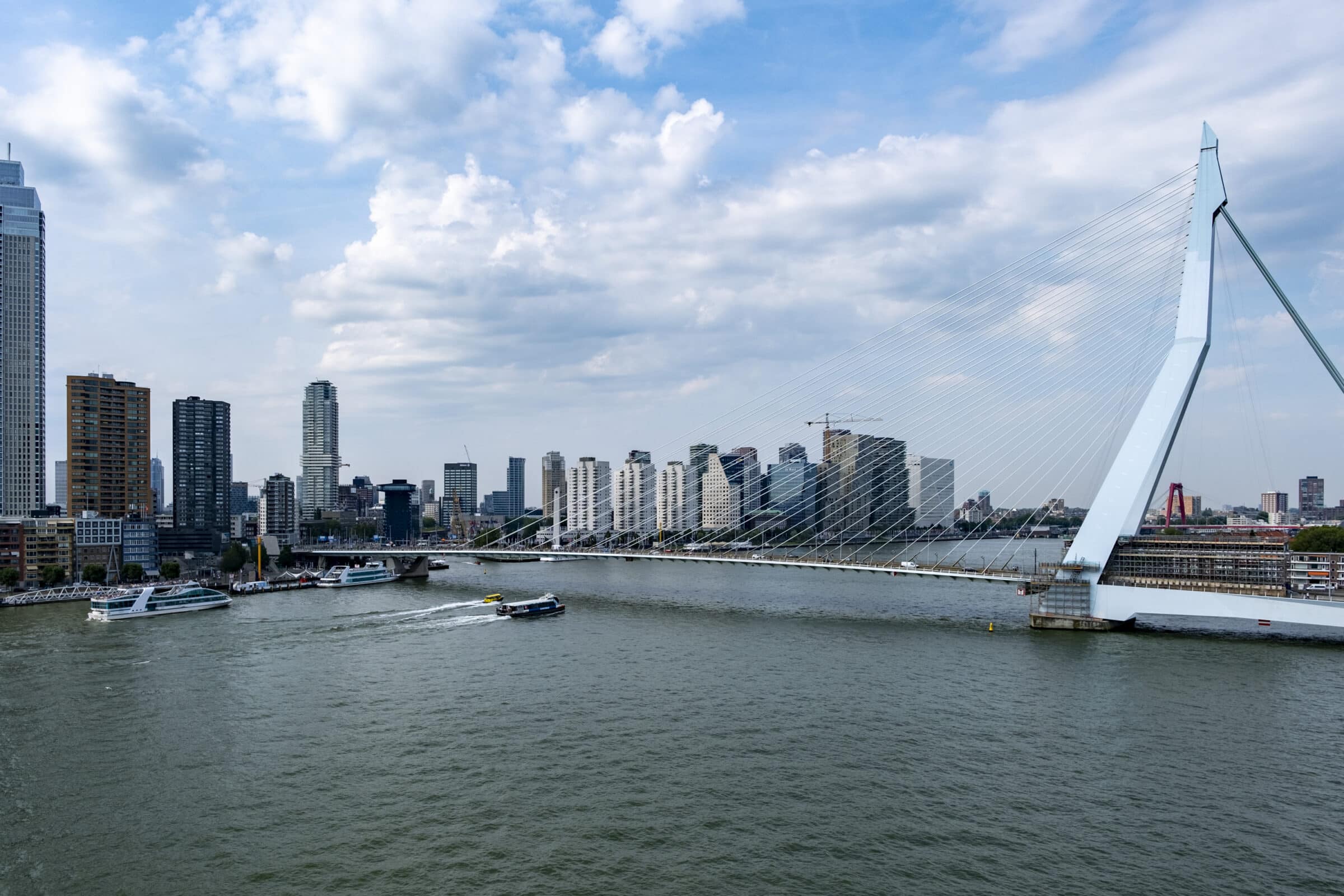 De Erasmusbrug Rotterdam