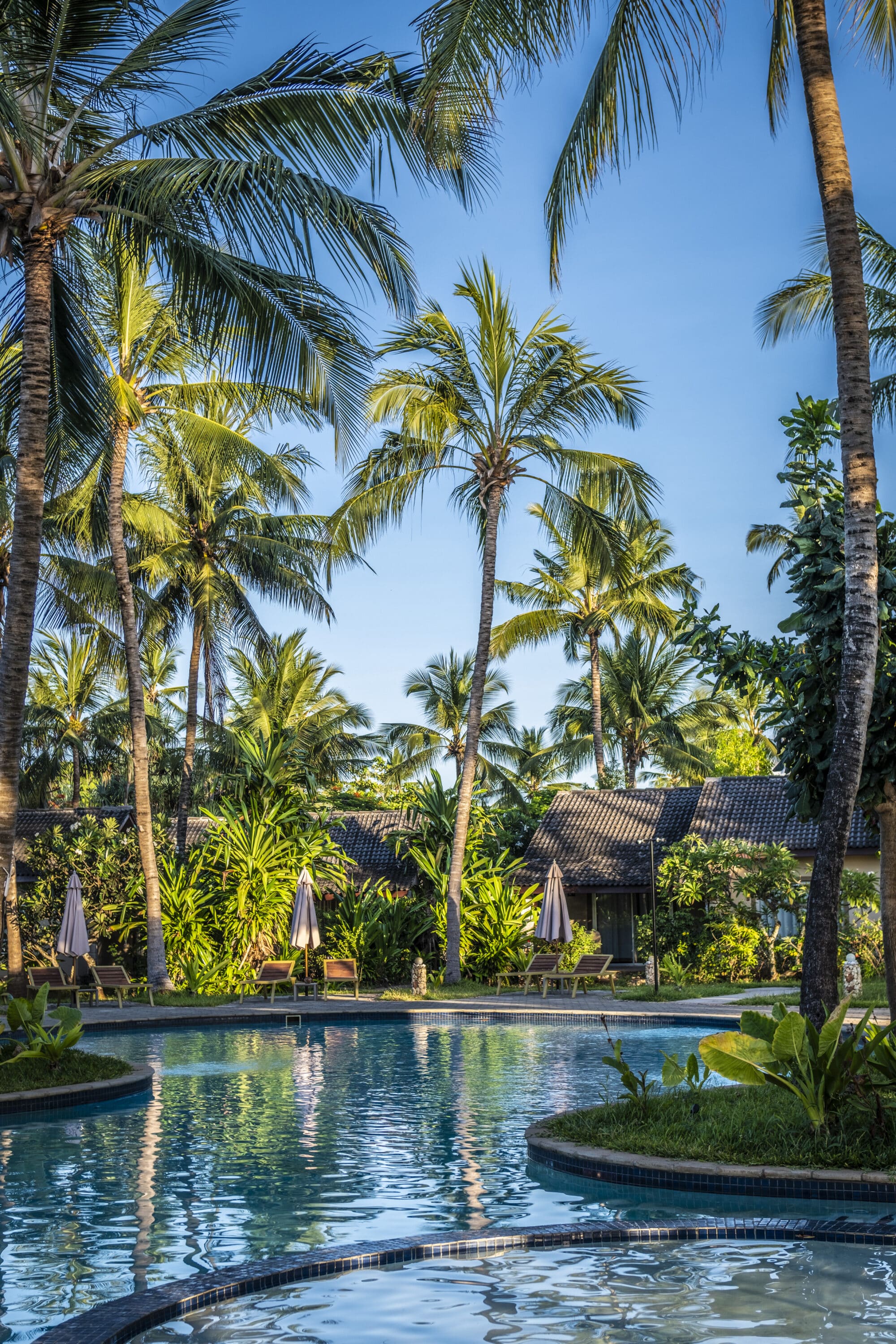 Zanzibar | Palumbo Mnemba View