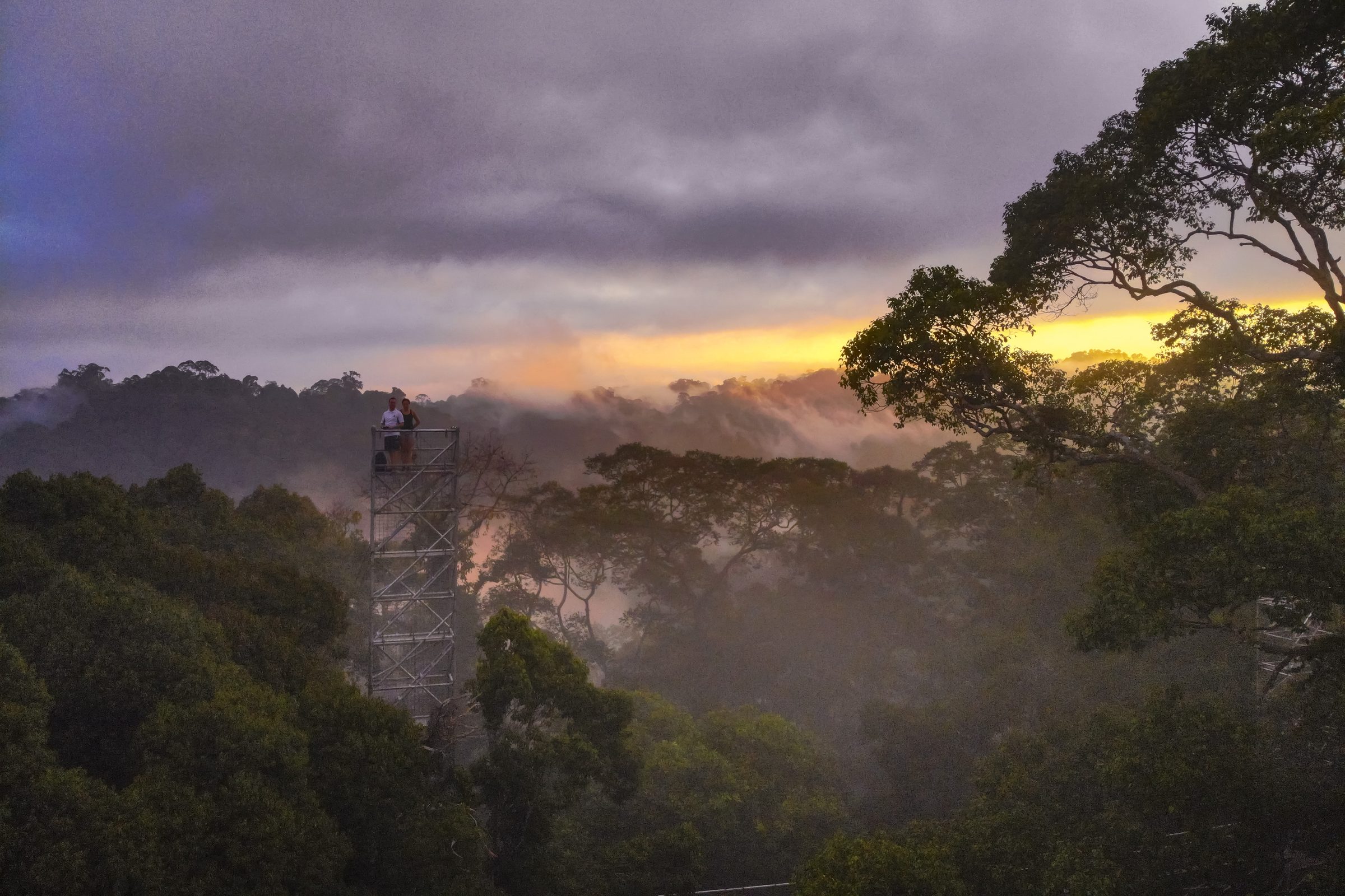 Zonsopkomst in de jungle