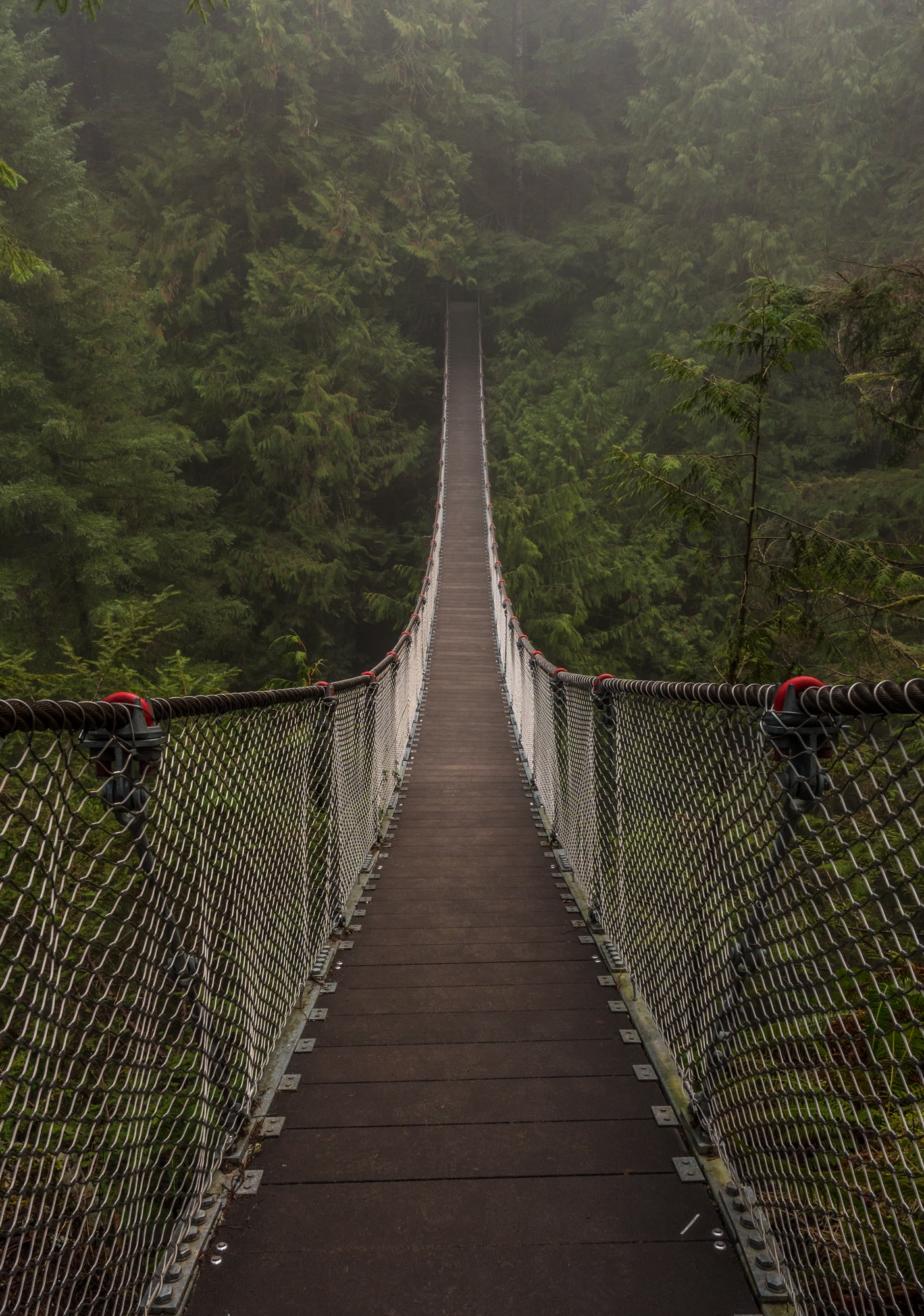 Ponte Suspensa em Lynn Canyon Park | Dicas para Vancouver
