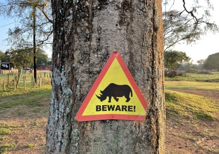 Cuidado con los rinocerontes (Ziwa Rhino Sanctuary)