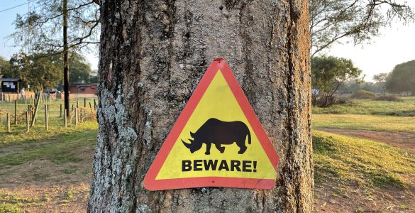 Beware of Rhinos (Ziwa Rhino Sanctuary)