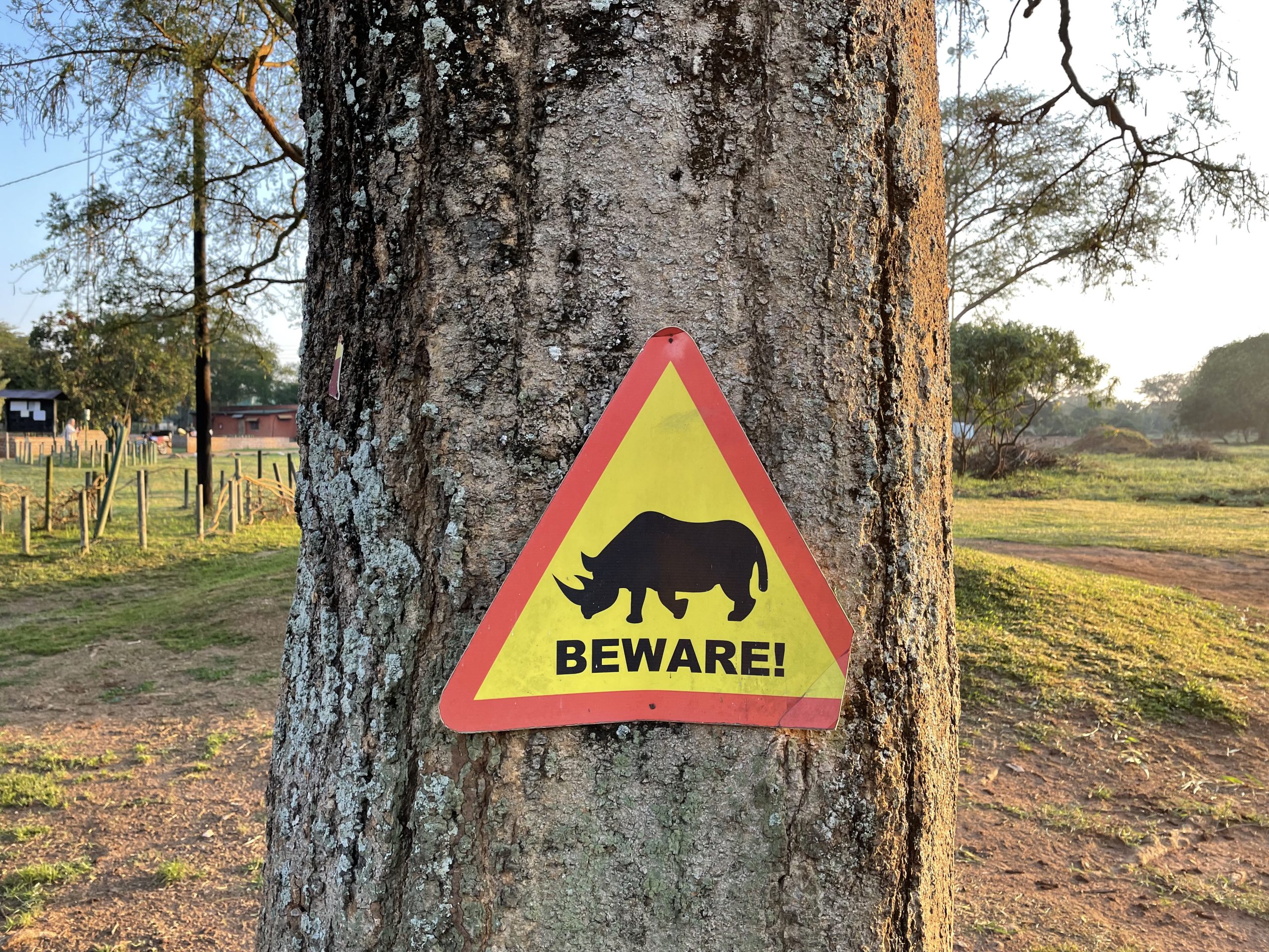 Cuidado com os rinocerontes (Ziwa Rhino Sanctuary)