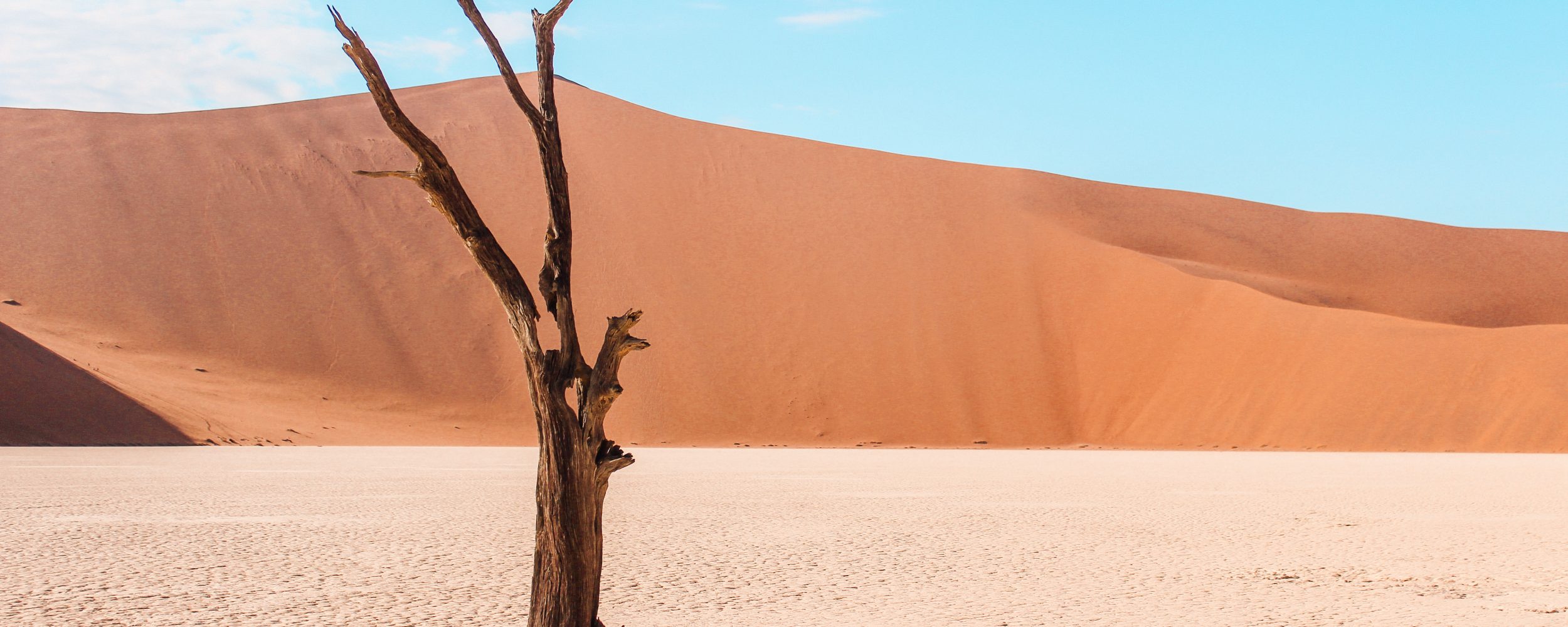 ナミビアの砂漠の砂