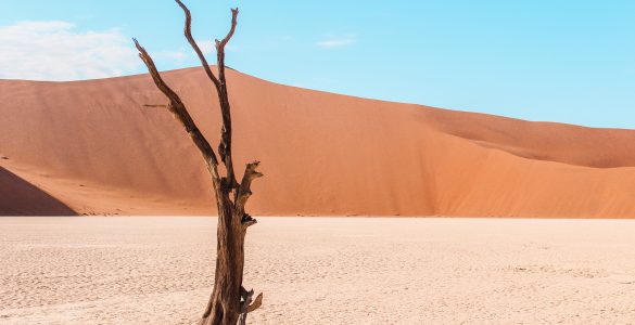 namibie woestijn zand
