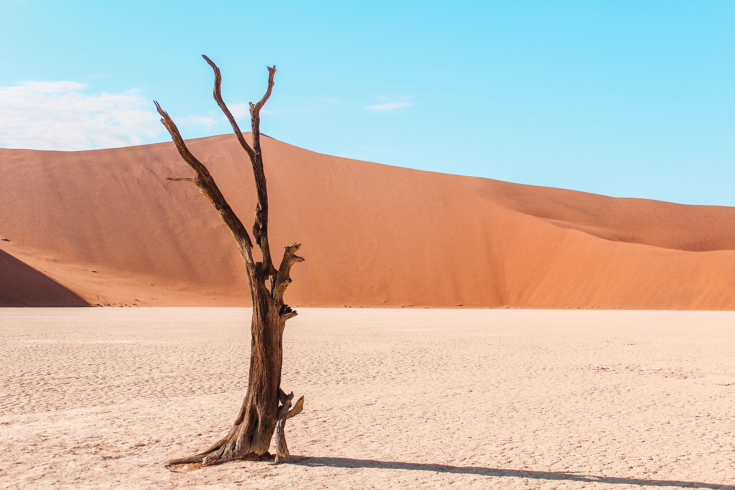 ナミビアの砂漠の砂