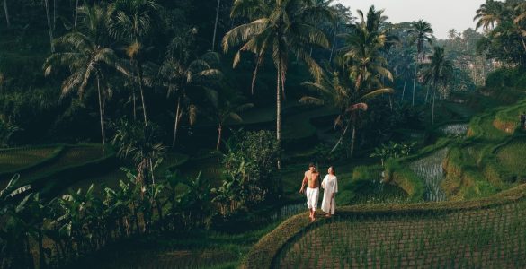 tegalalang riževa polja Bali