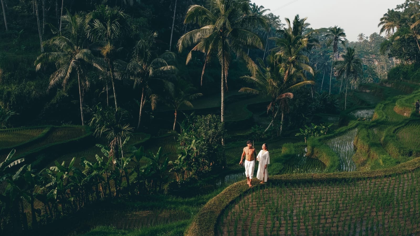 tegalalang rižina polja Bali