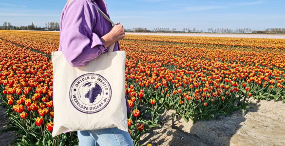 Polja tulipanov na Nizozemskem