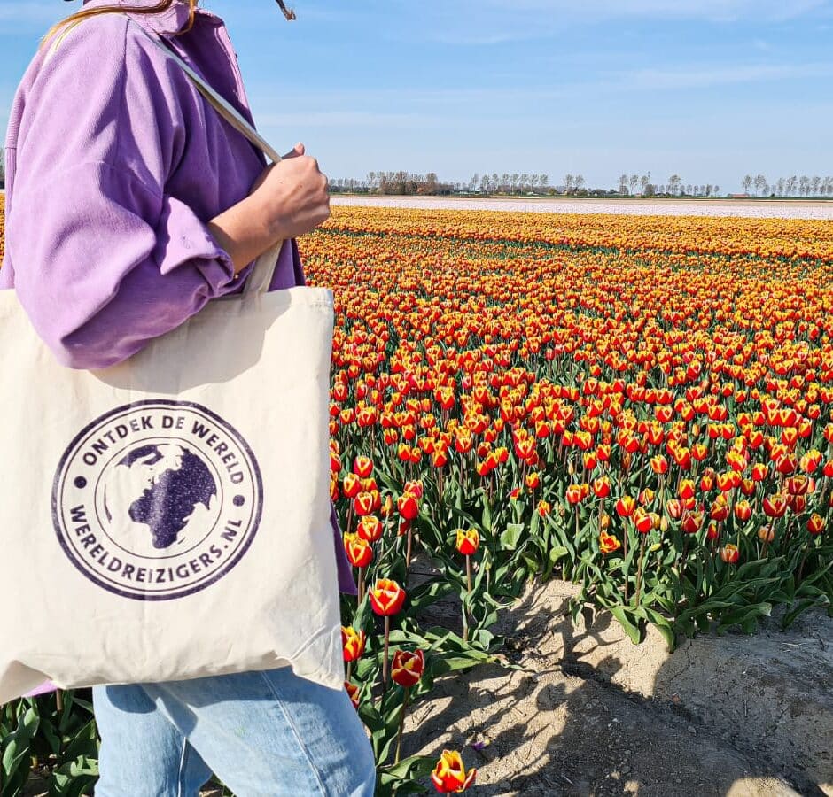 Tulpenvelden in Nederland